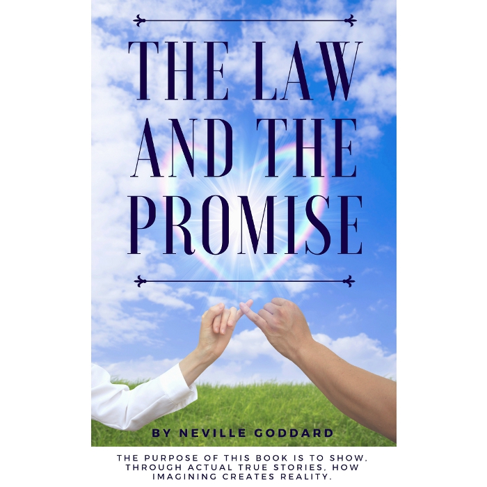 The Law and the Promise book thumbnail